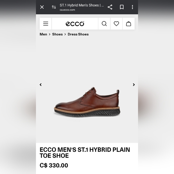 Ecco - Picture 15 of 16